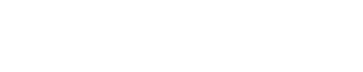 The Courageous Pursuit